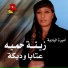 Zeina Hamiyeh