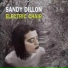 01 Sandy Dillon