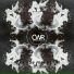 Cdc (Carpe Diem Collective)