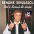 Benone Sinulescu - Ionica (Scrisoare de la mama)