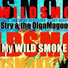 Stry & the OlgaMagoo