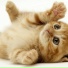test itsec2