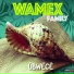 Wamex Family