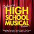 High School Musical Band