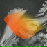 AyOwA