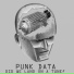 Punk Data