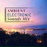 Ambient Music Collective