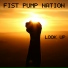 Fist Pump Nation