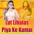 Vijay Sonkar