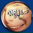 The Muffs