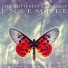 The Butterfly Chillout Ensemble