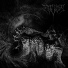 Infestus