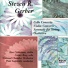 National Chamber Orchestra, Piotr Gajewski
