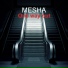 MESHA