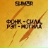 SLIM3R