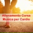 Allenamento Cardio e Running