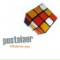 Pestolaer
