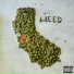 DJ B Knockin feat. Esco Best Dro, Ghost, Global