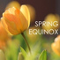 Relaxing Sounds Spring Music House