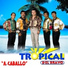 Tropical del Bravo