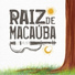 Raiz de Macauba