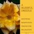 Mindful Mantra Music