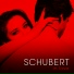 Schubert [7second.at.ua]