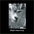 Tim Turvey