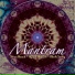 Byron Metcalf - Steve Roach - Mark Seelig