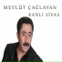 Mevlüt Çağlayan