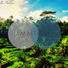 Ambition