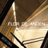 Morfonia