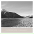 alluvial