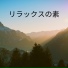 禅 猫