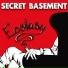 Secret Basement