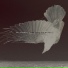 Katatonia