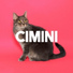 Cimini