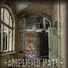Amplified Hate