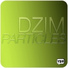 Dzim