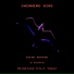 Helgeland 8-bit Squad feat. Sarah Winton, I-Lodica