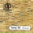 Tomy .45