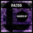 Razoo