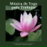 Meditacion Budista Maestros