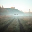 Y17