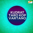Jeeviben Kapdi