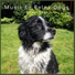 Music to Relax Dogs