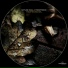 Nature Soul Cybertronic