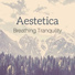 Aestetica