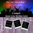 Anne Lise Brekke Lien