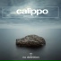 IVAN VALEEV vs Calippo